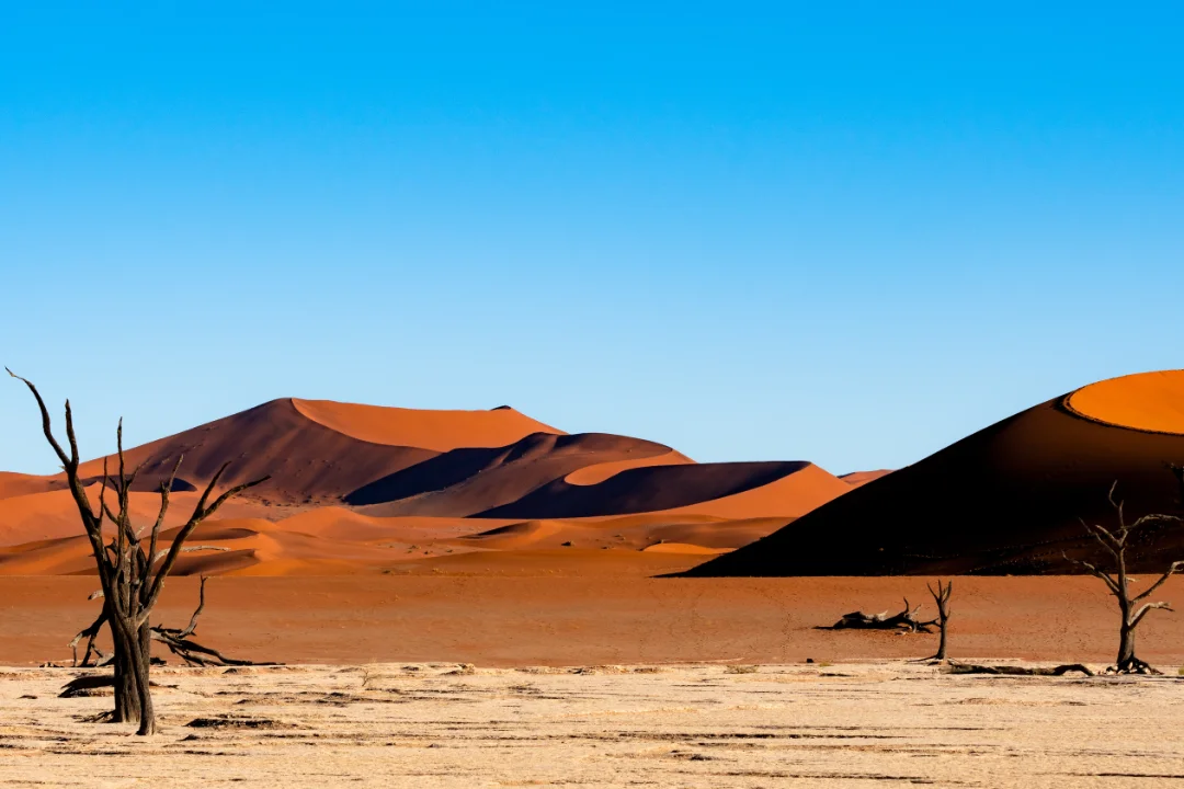 Desert Adventures